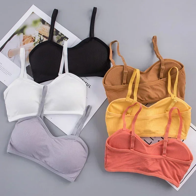 Bras & Underwear